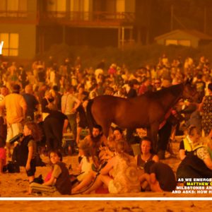 The Year of Living Dangerously