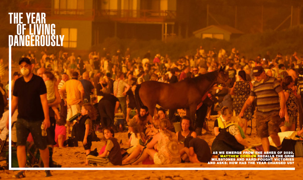 The Year of Living Dangerously